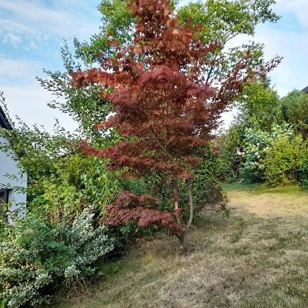 Haus Edda - Ferienwohnungen Mit Garten Und Schlossblick Marburg Exterior foto